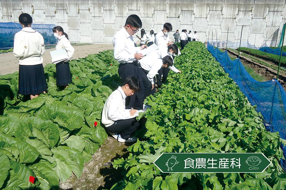 食農生産科