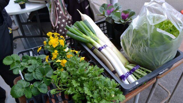 【アグリマーケット】ご来場いただきありがとうございました！