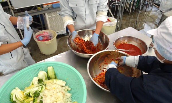 食農生産科１年　育てた白菜と大根でキムチ作り（その２）