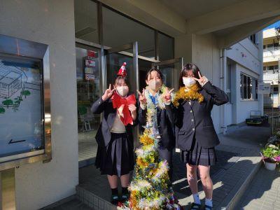 クリスマスツリーを設置しました。