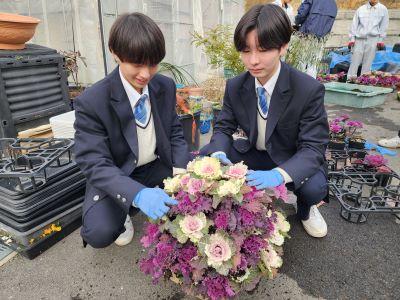 ハボタンドームを作りました。