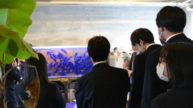 アクアポニックスに関する校外研修に行きました！