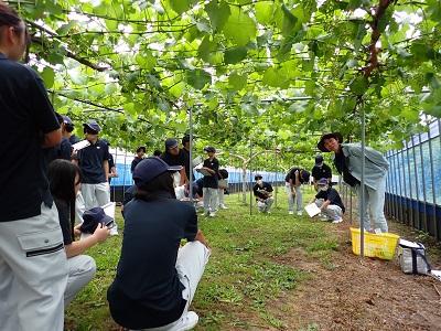 食農生産科１年生が先進的農業経営者を訪問研修