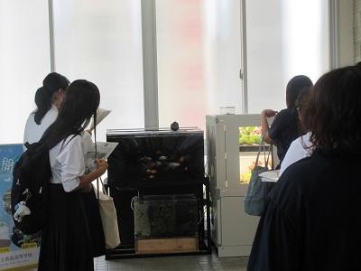 オープンスクール報告①（食農生産科編）